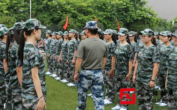 企業軍訓心得體會800字