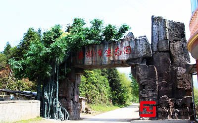 靖安象湖灣生態(tài)公園團(tuán)建拓展活動(dòng)